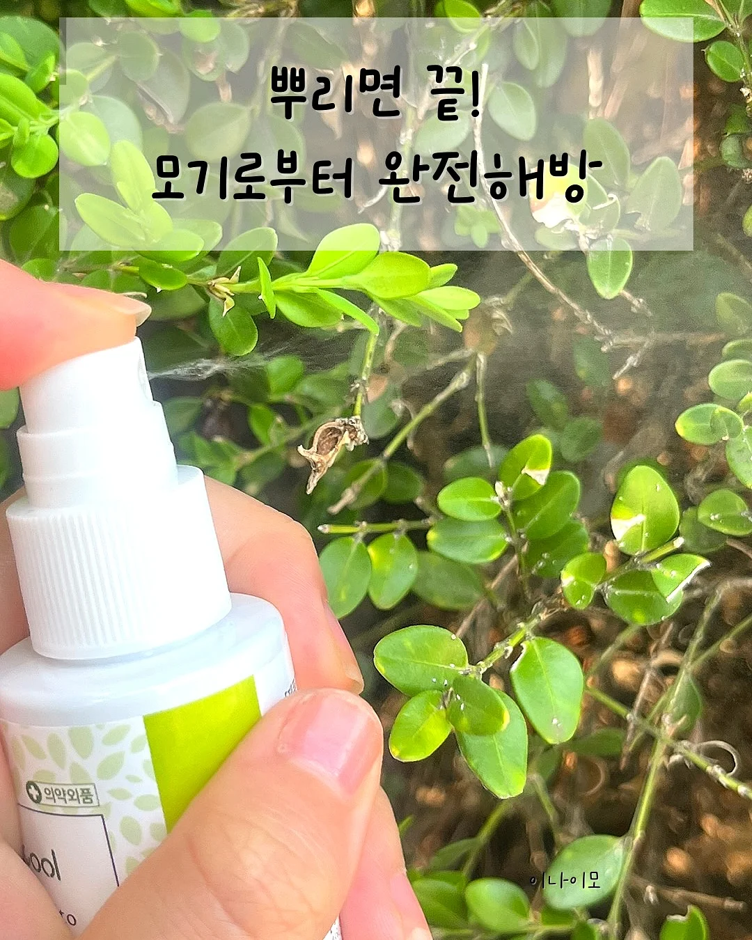 드부이에 프라이팬 5