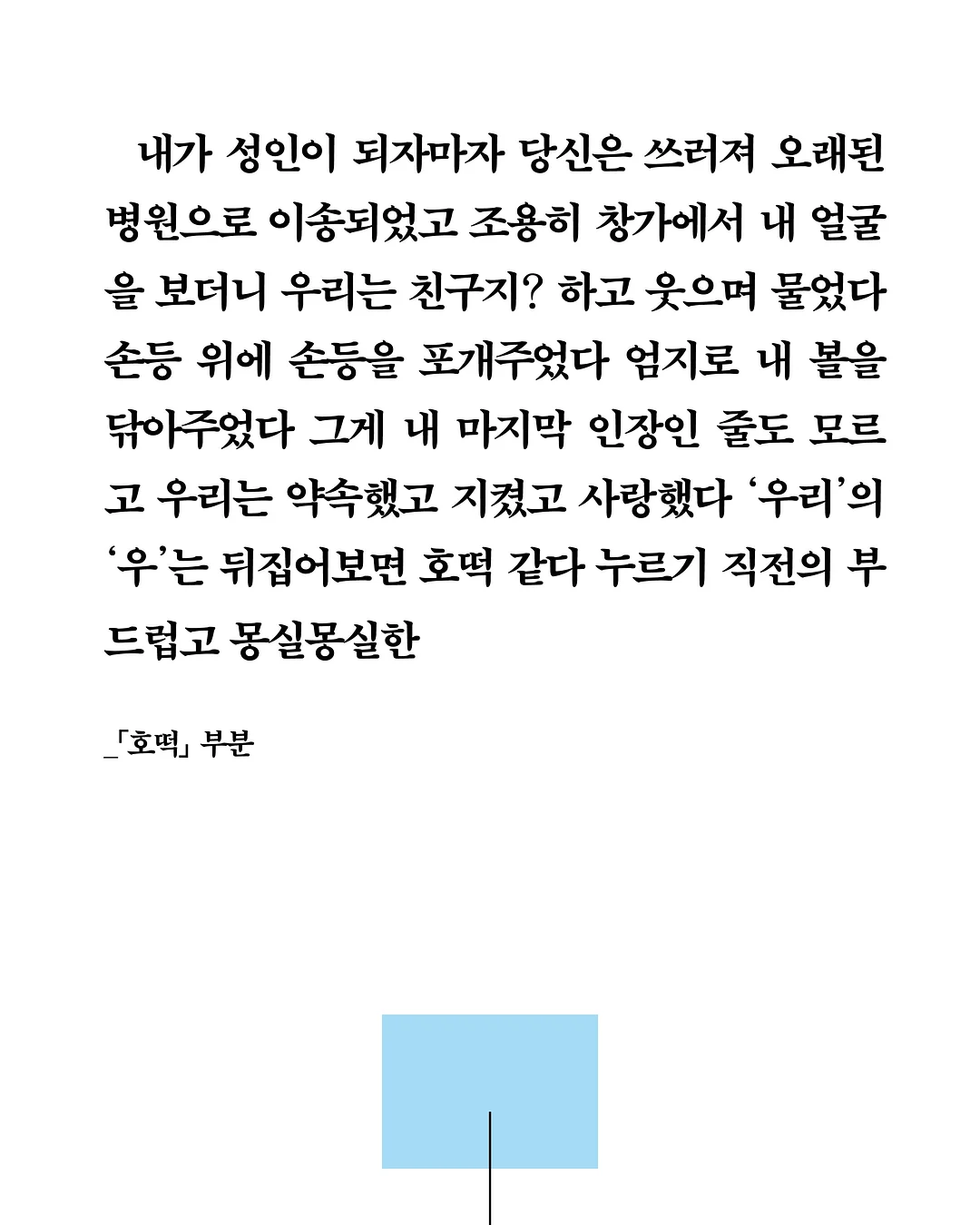 디그린 누아배색나시 5