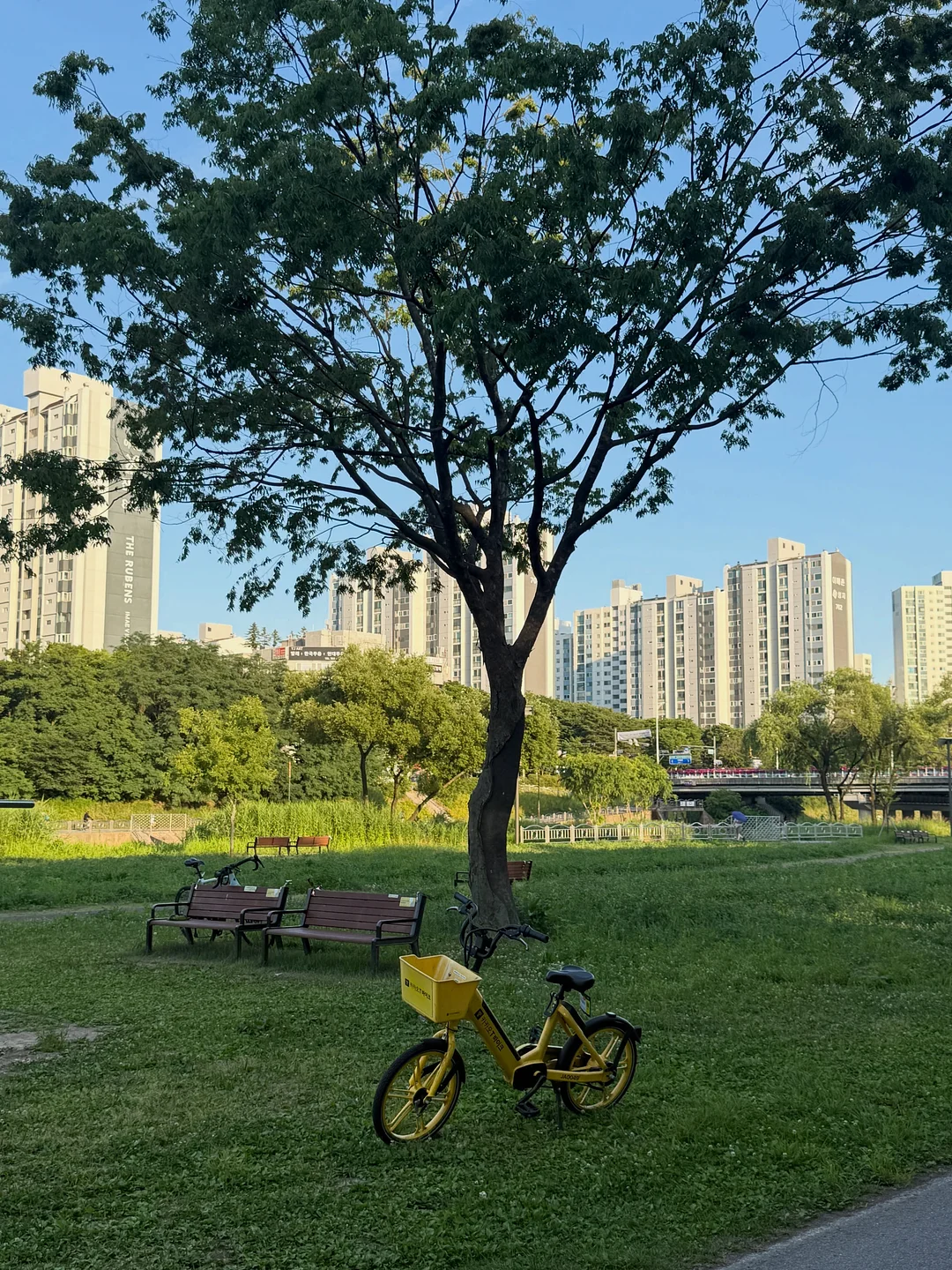 여름 점프 슈트 4