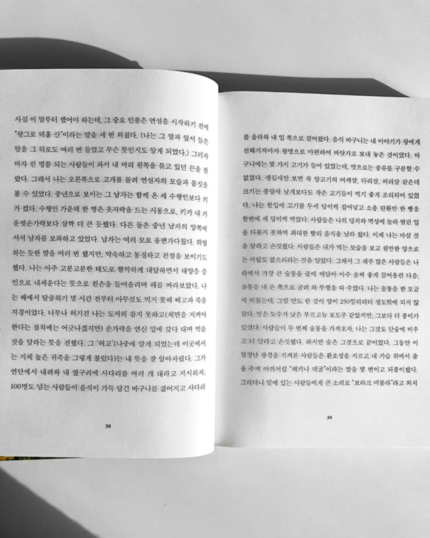 카네이션 캐리어 12