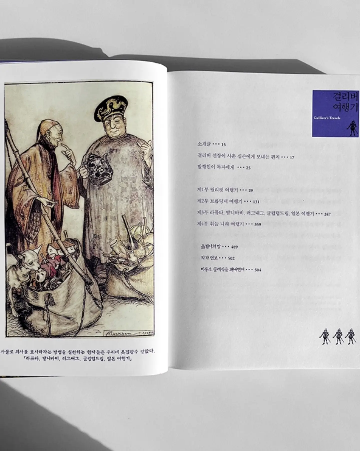 카네이션 캐리어 10