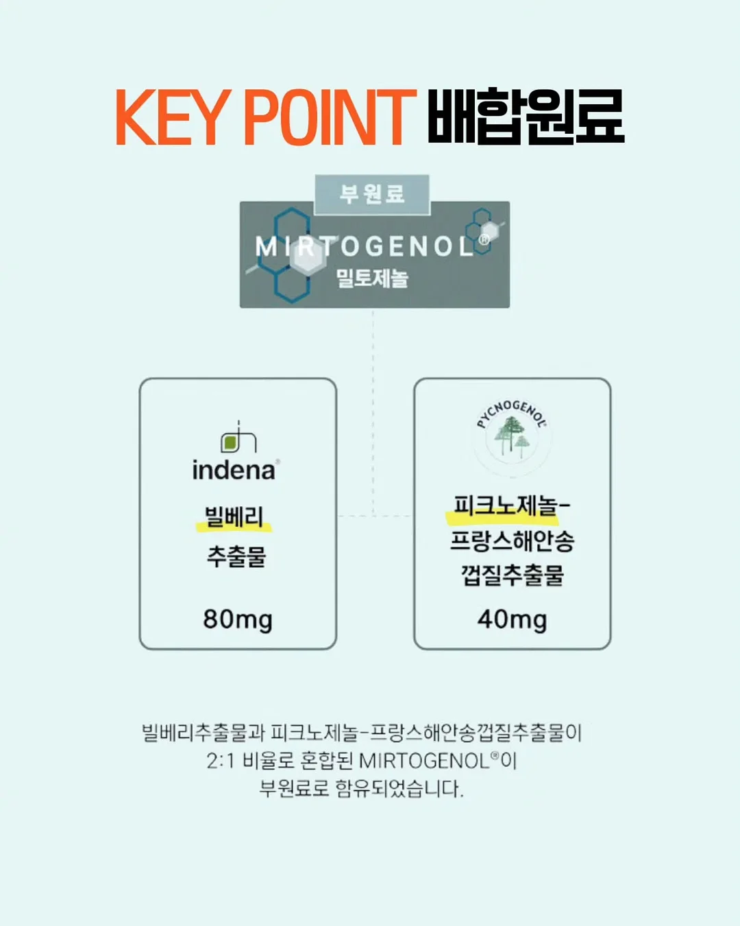 스푸키조켈리니 5