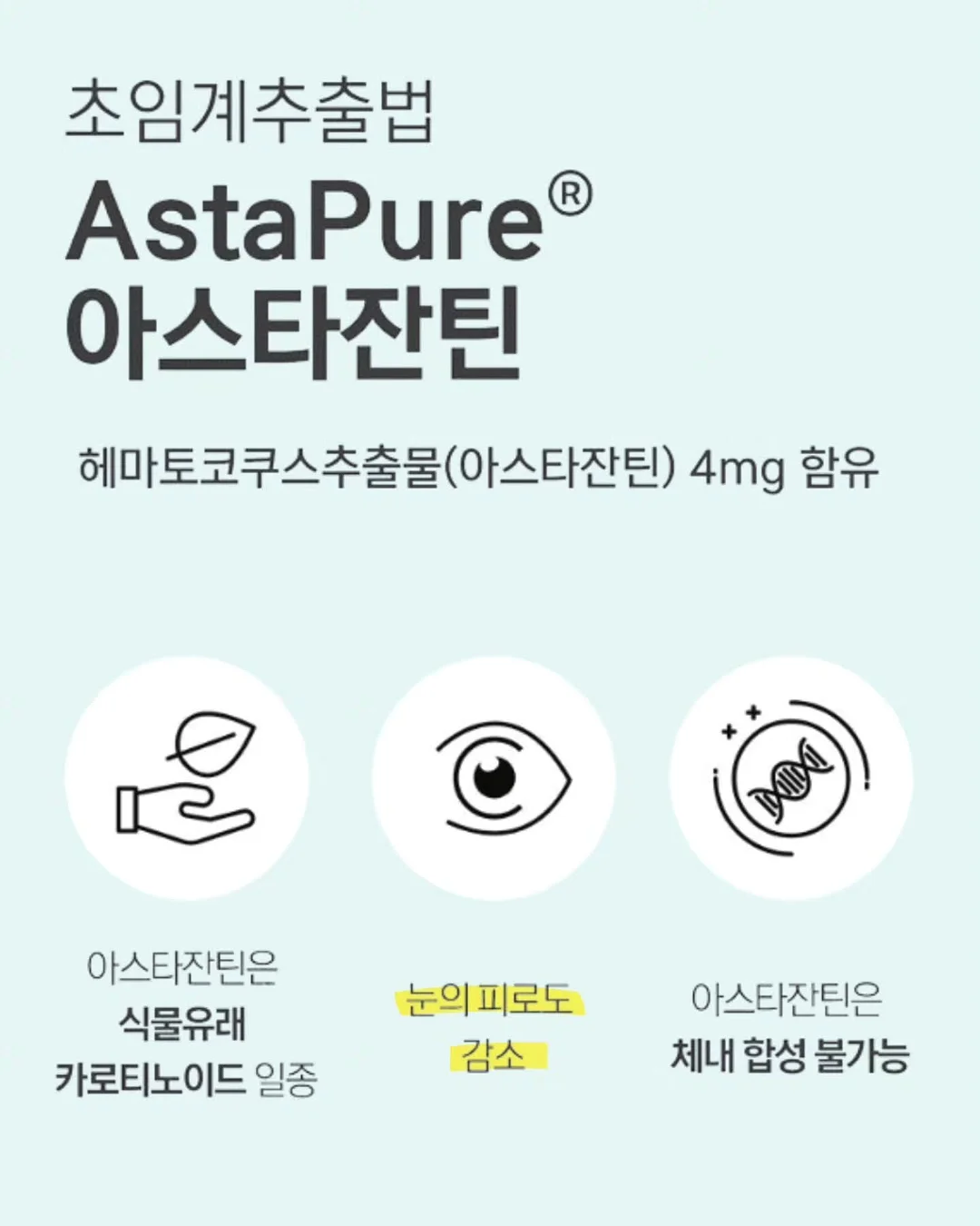 스푸키조켈리니 6