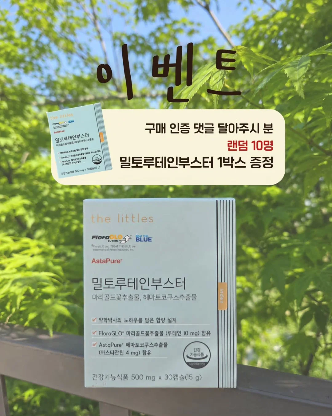 스푸키조켈리니 8