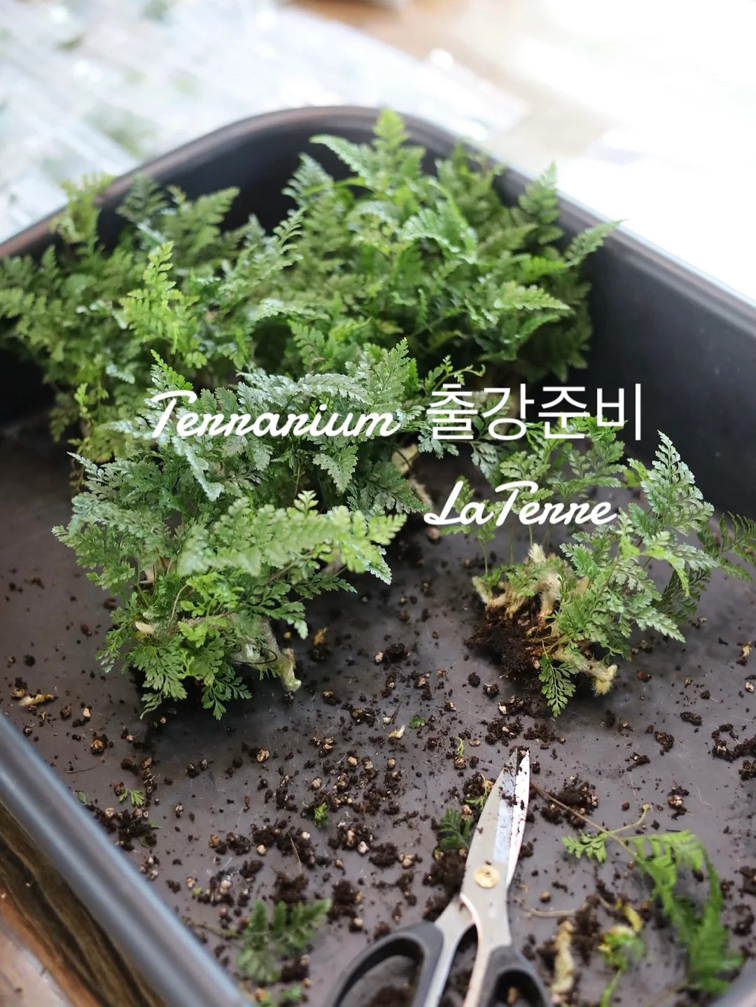 썸머룩 포인트 아이템 3