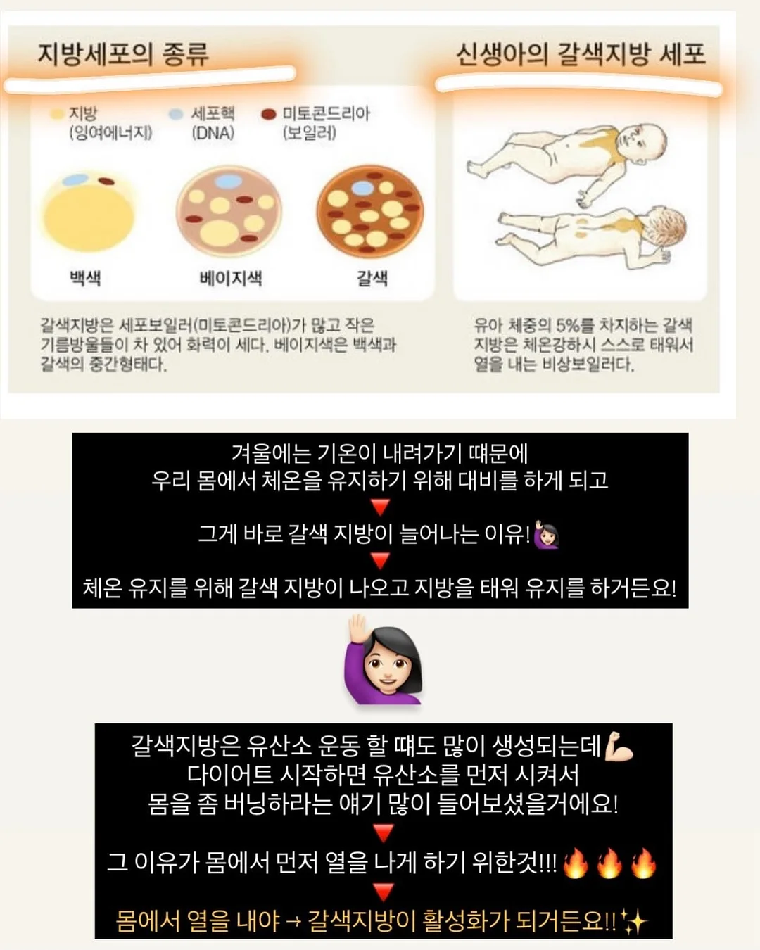 웨딩바디관리 4