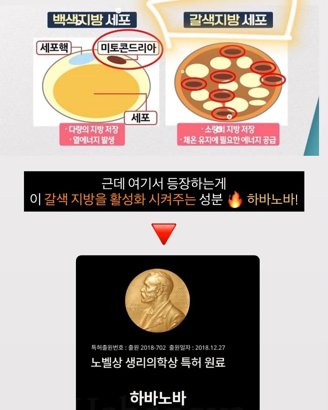 웨딩바디관리 5
