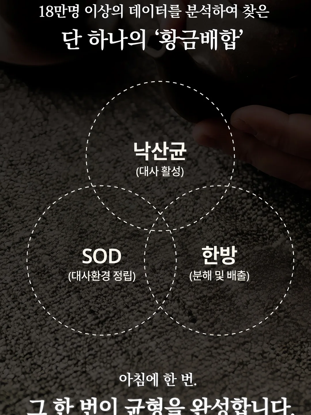 드링크 5