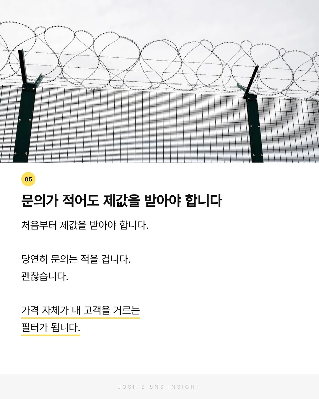 천연해면 6