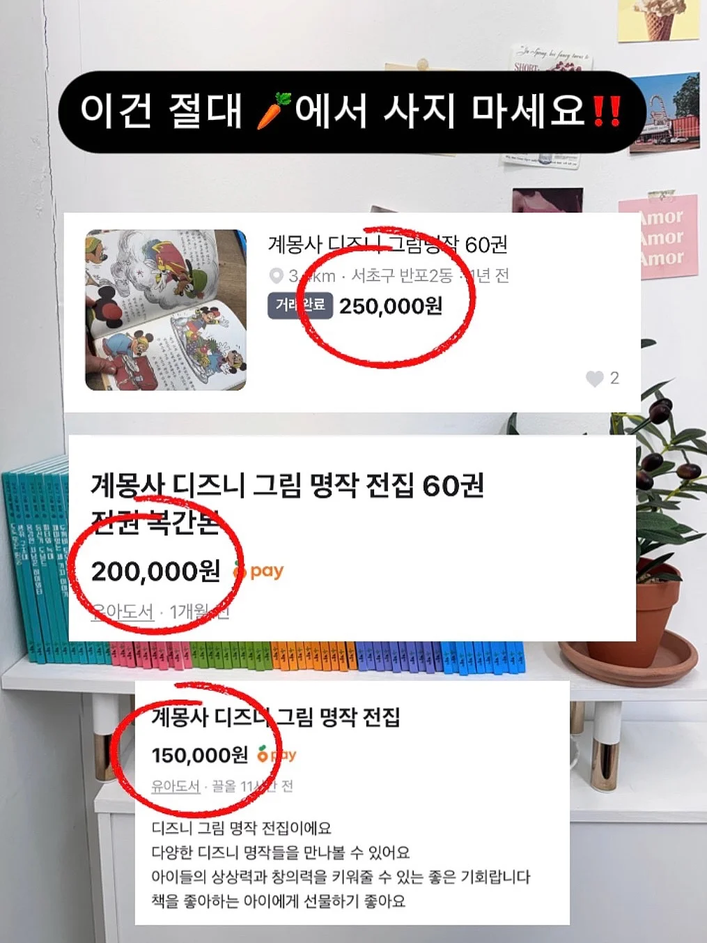 감귤씨 3