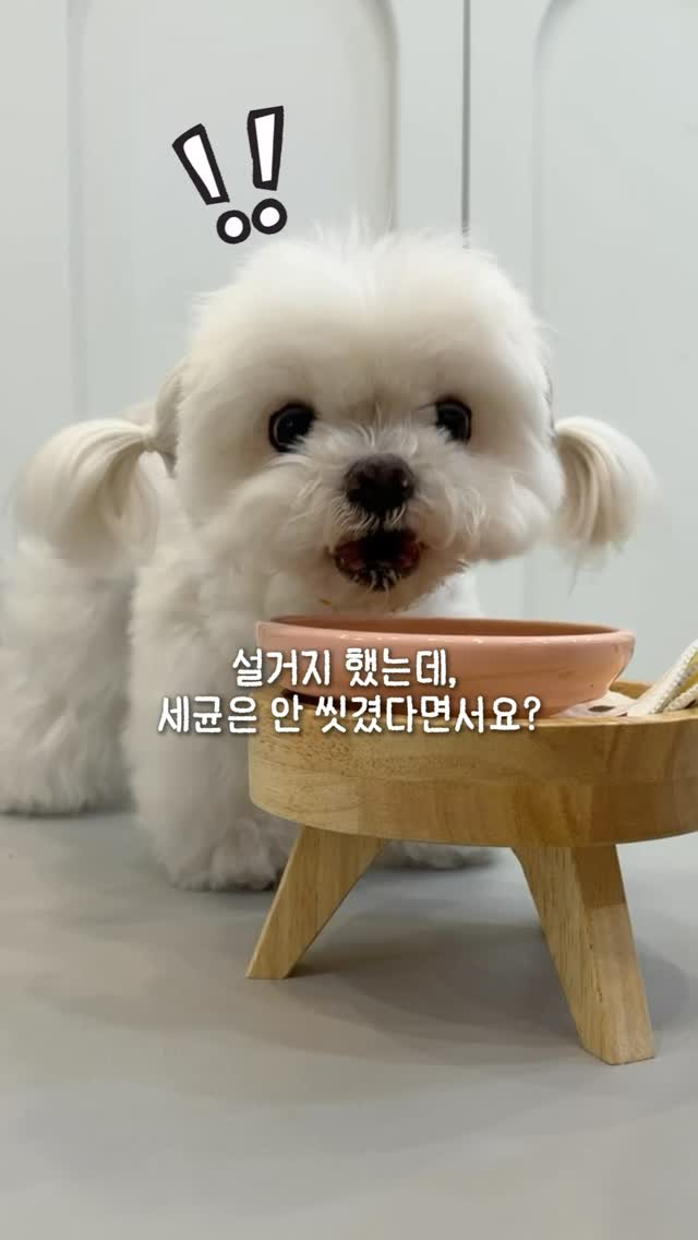 Puron 칫솔살균기