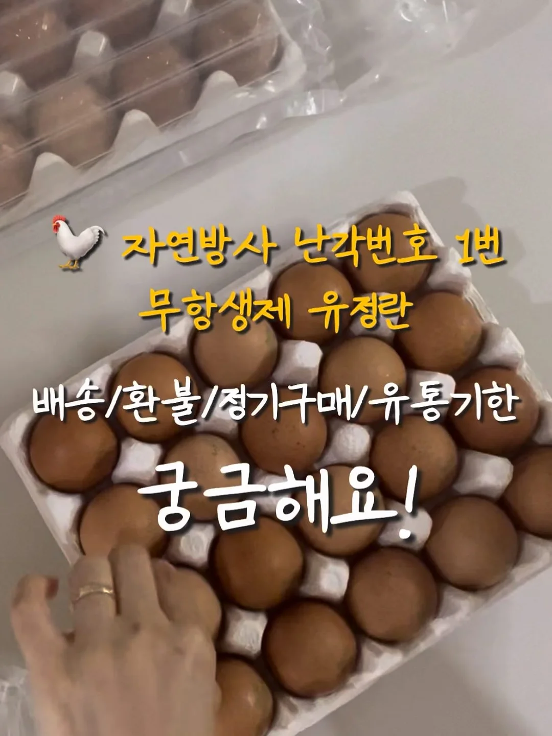 밀봉기 1