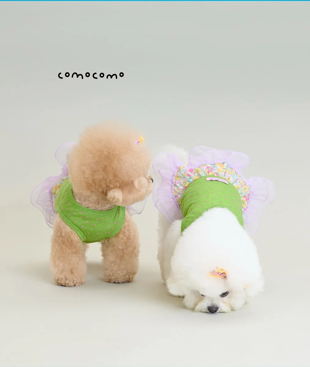 베이비 브레짜 젖병세척기 4