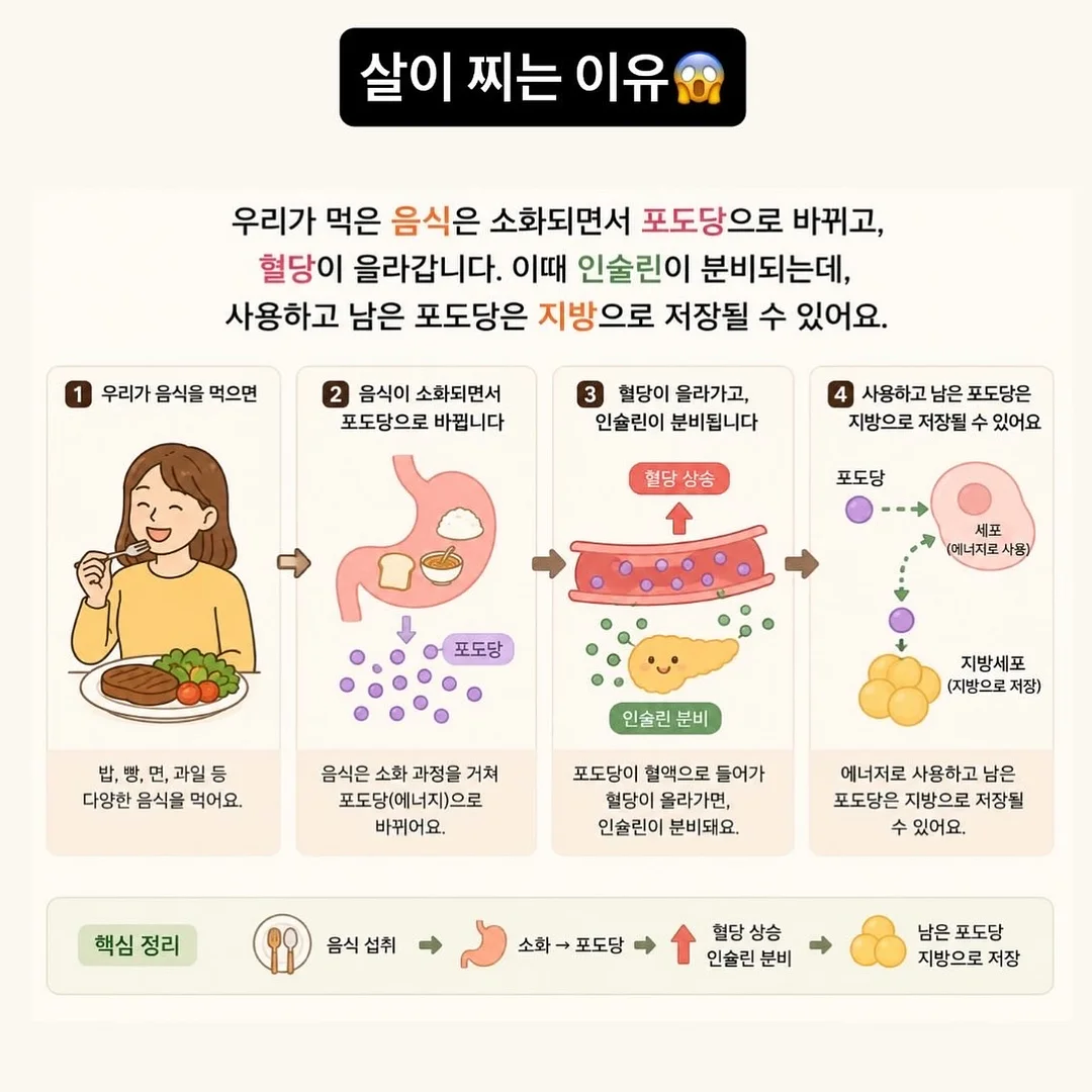 헬로키티 에코백 4