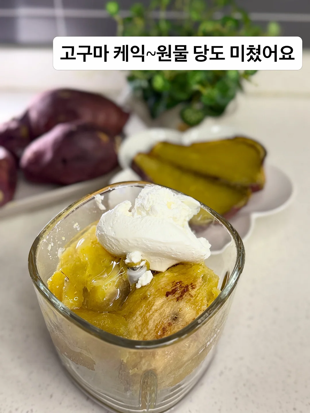 갓은혜 프로틴 스콘 7종 15