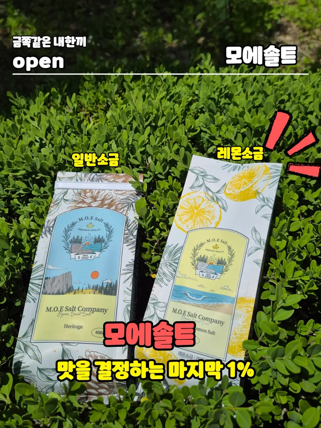 콘디 쿨링매트 2