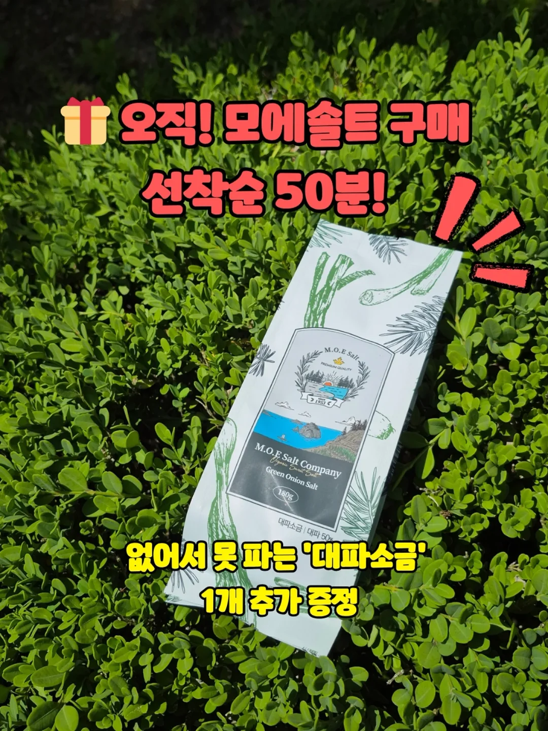 콘디 쿨링매트 4