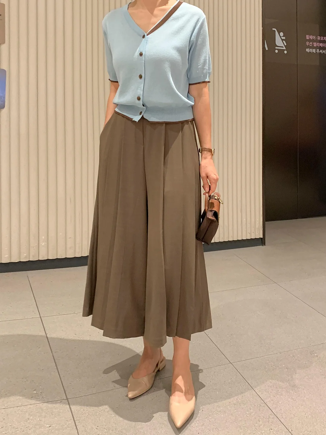 완도 활전복 10
