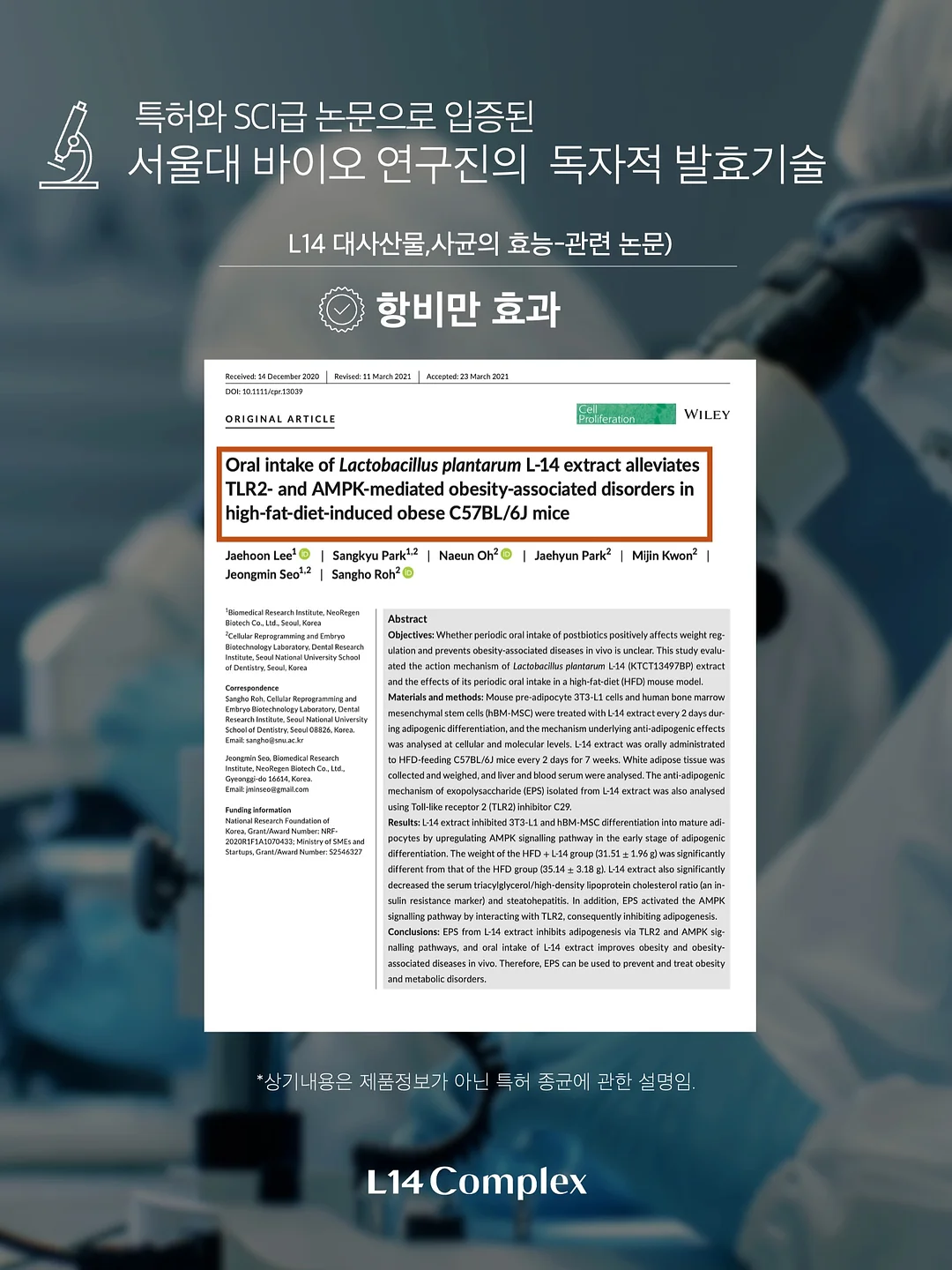 주름타파 레시피 SET 14