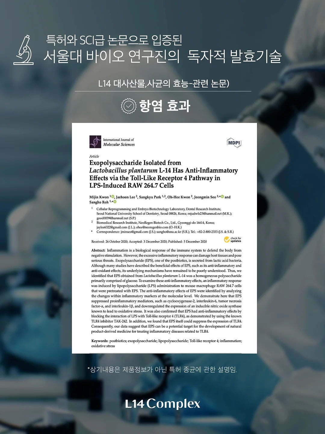 주름타파 레시피 SET 17