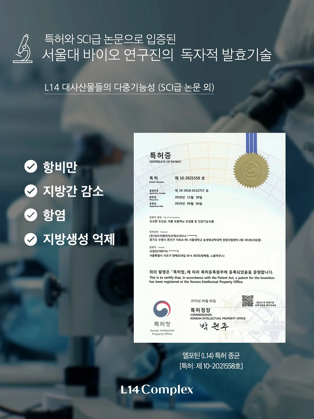 주름타파 레시피 SET 19