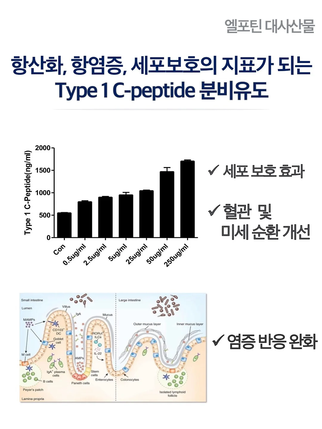 주름타파 레시피 SET 9