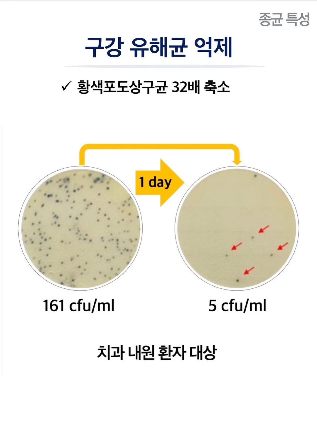 주름타파 레시피 SET 10