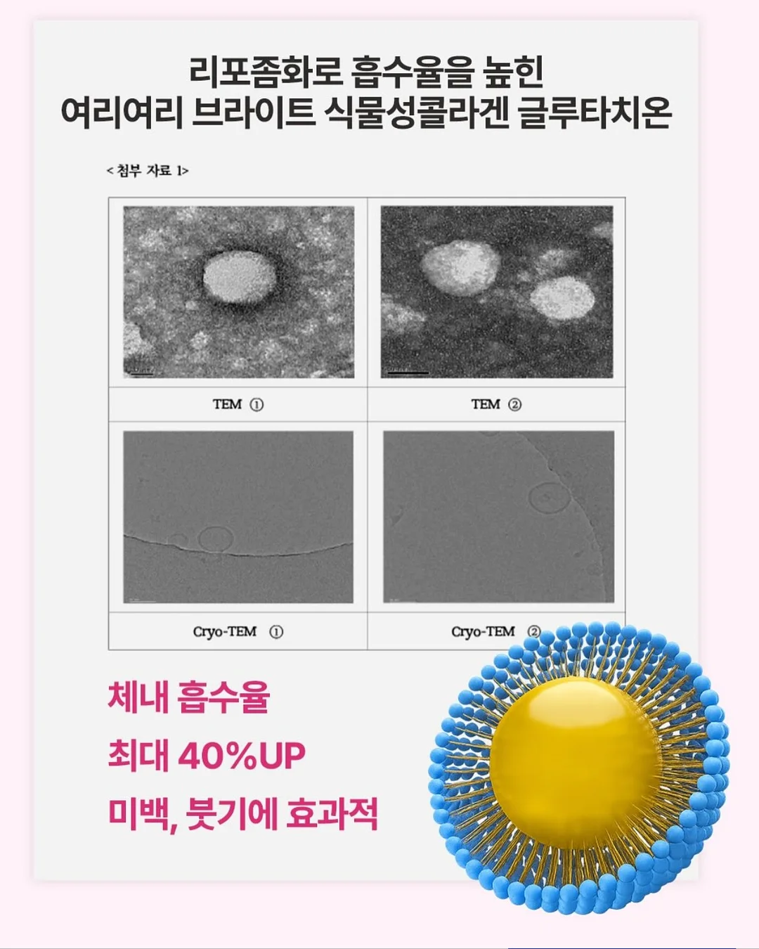 9부 미디 팬츠 19