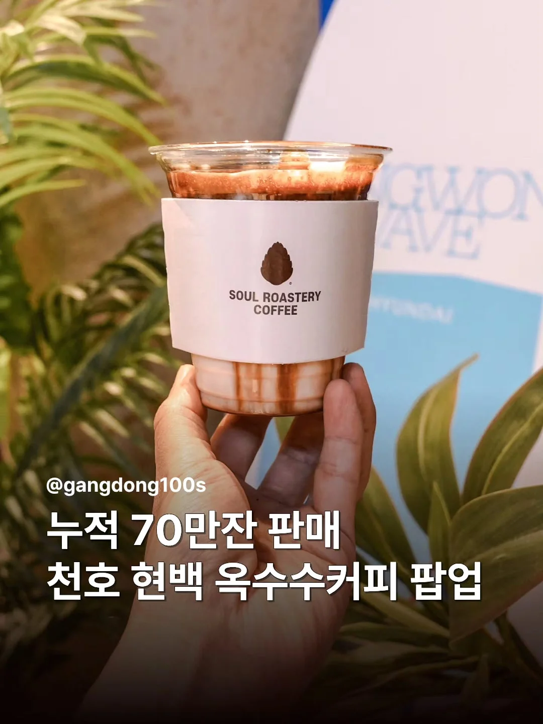 로지 실키 무스 1