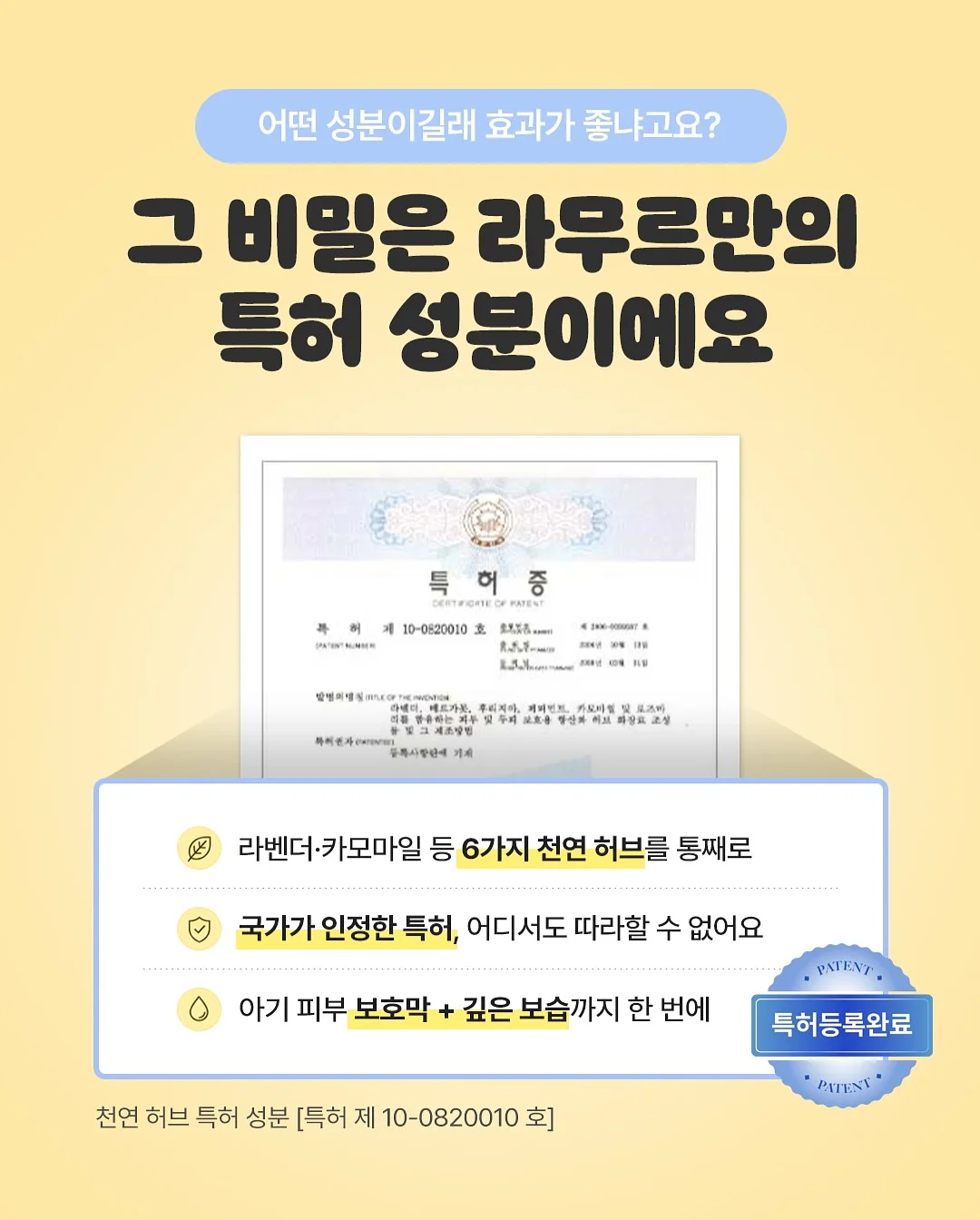우유거품기 8