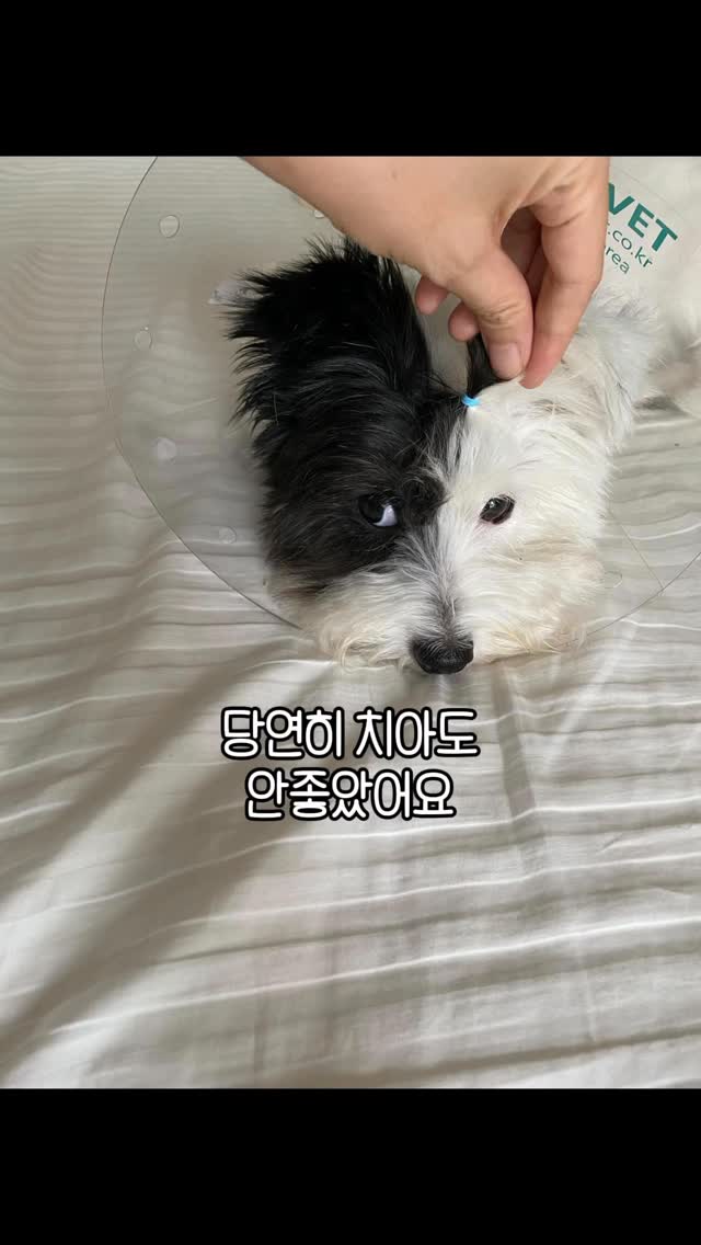 비누