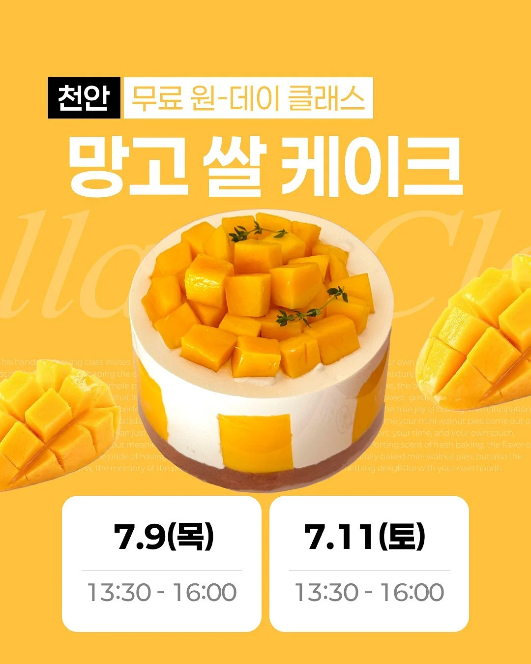 버건디 브이넥 세트 1