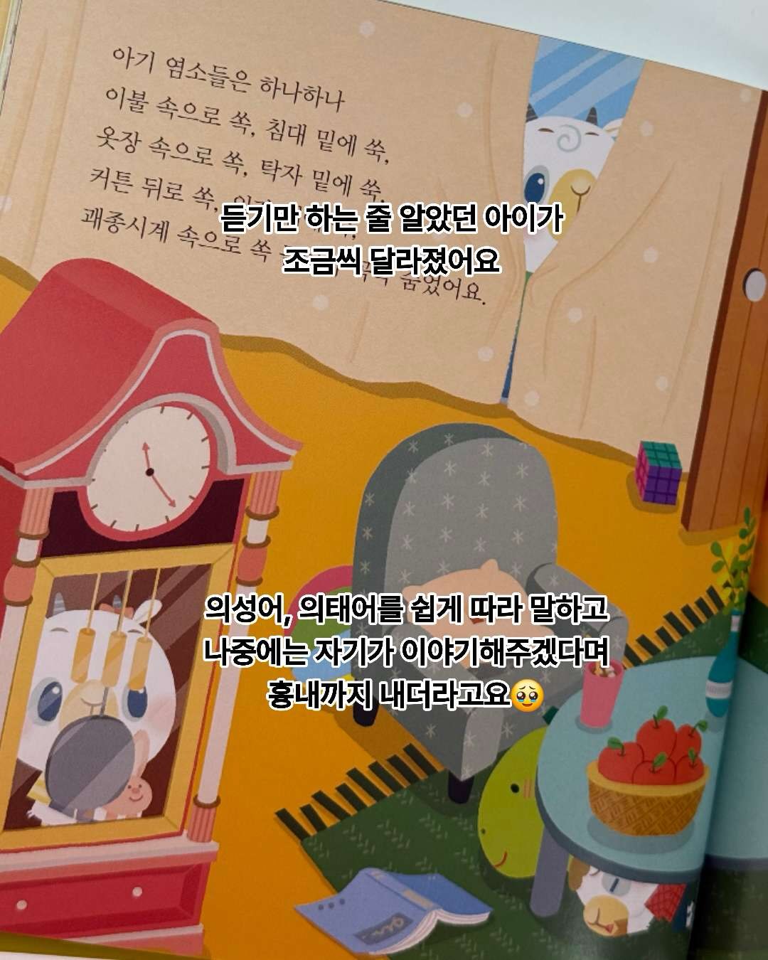 전기포트 세정 타블렛 6