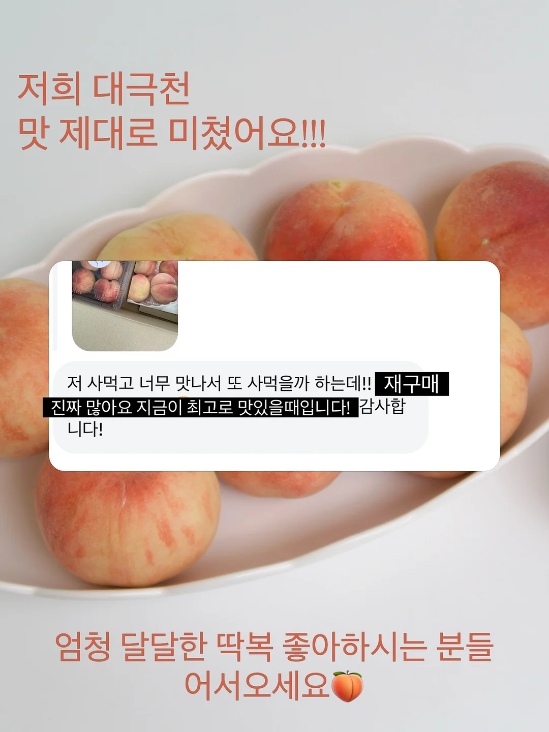 에카사 보냉백 1