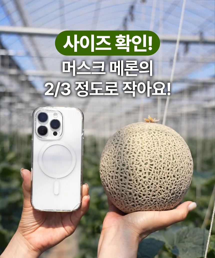 라뮤즈 인티메이트 워시 1