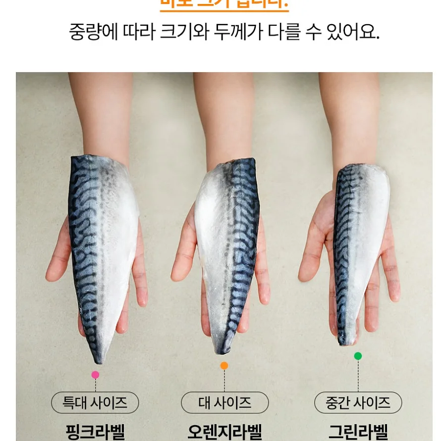 화분 선반 3