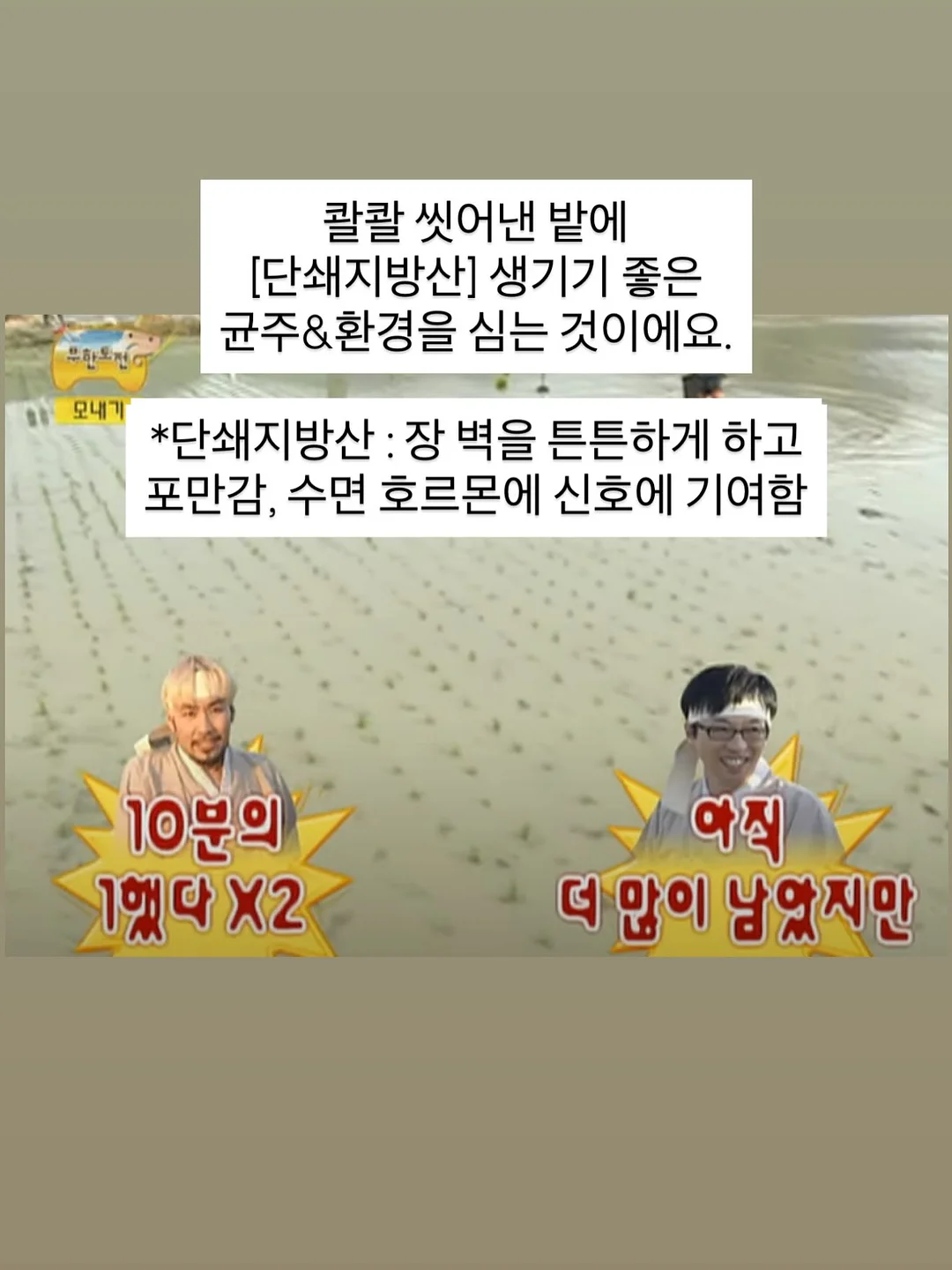 이동식 TV 스탠드 6