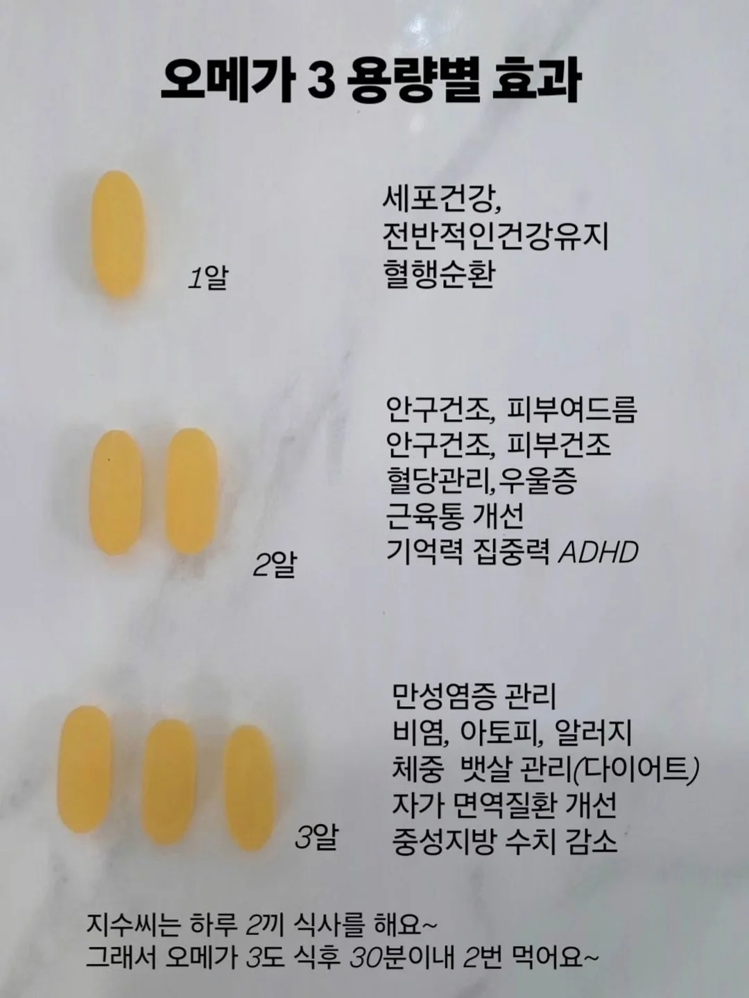 보테르가 홍새우 알리오 올리오 4