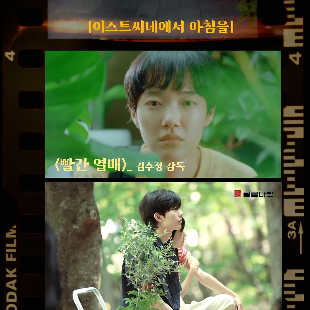 펜타니모 숲속동물퍼즐 2