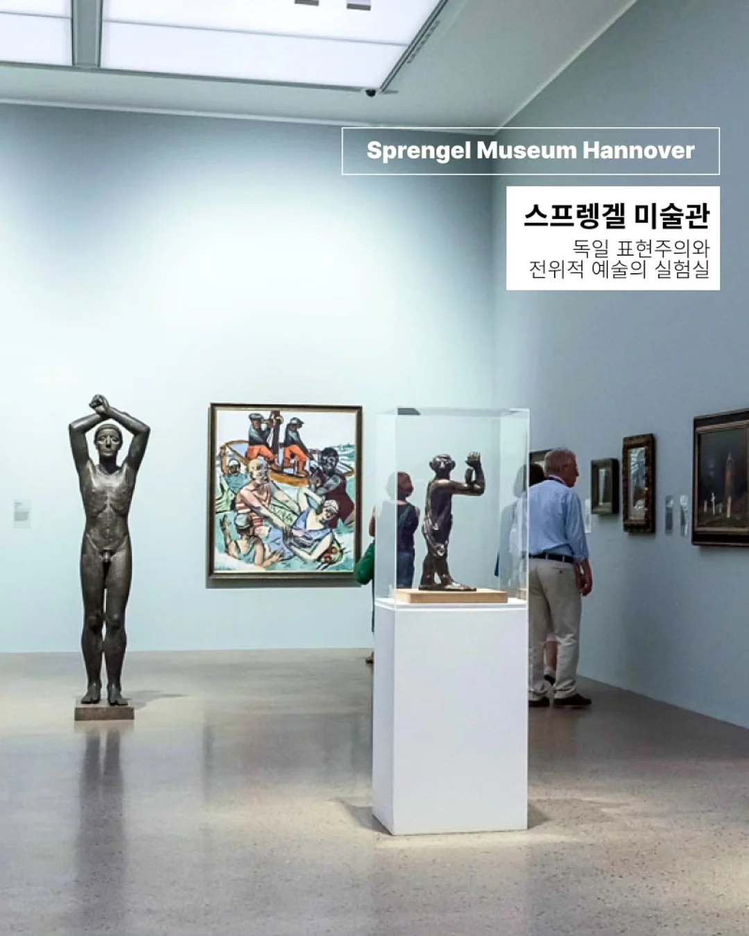 독소비움 11