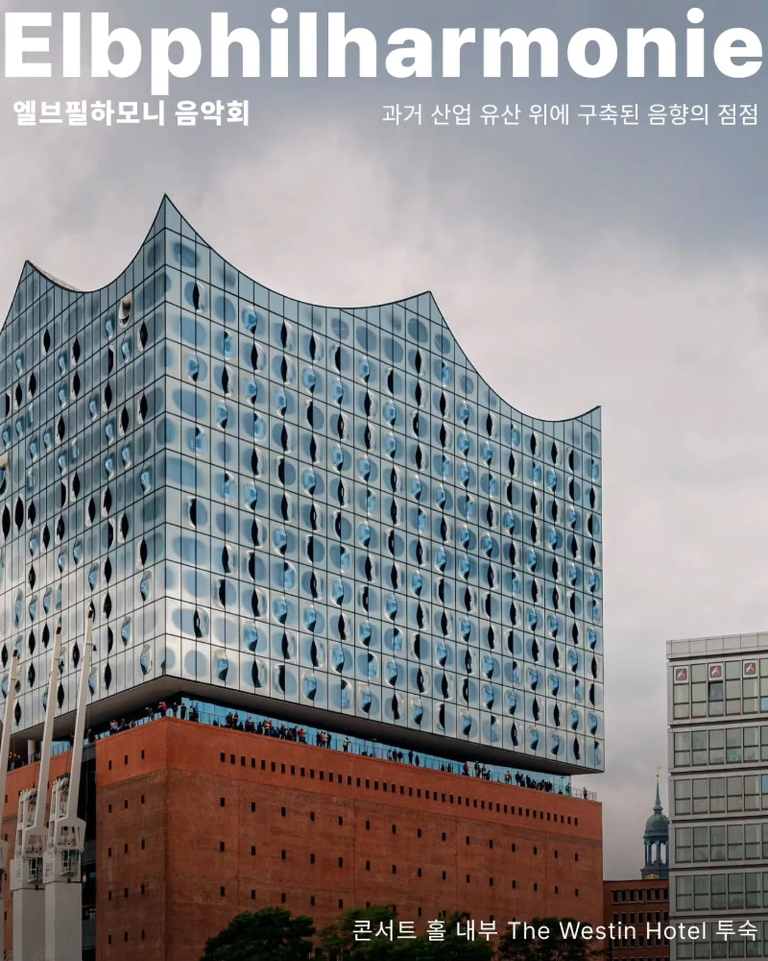 독소비움 12