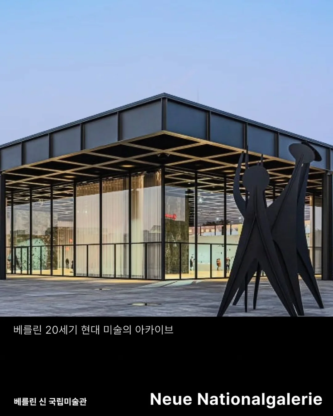 독소비움 15