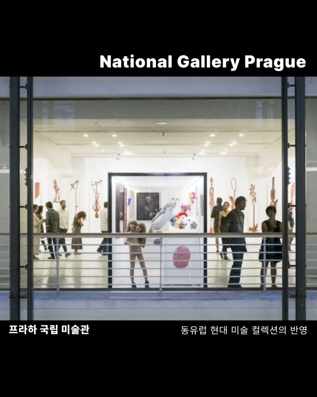 독소비움 20