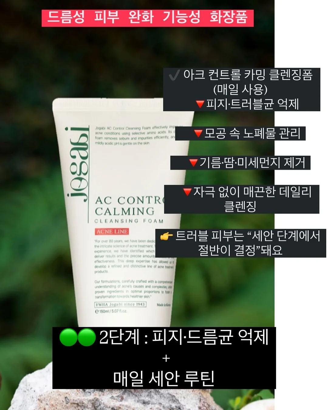 밀감 4