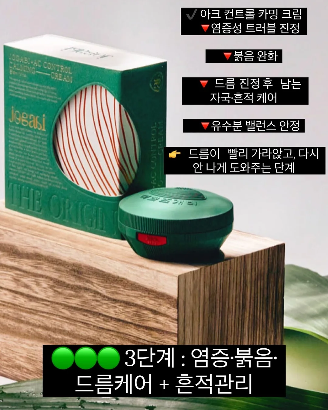 밀감 5