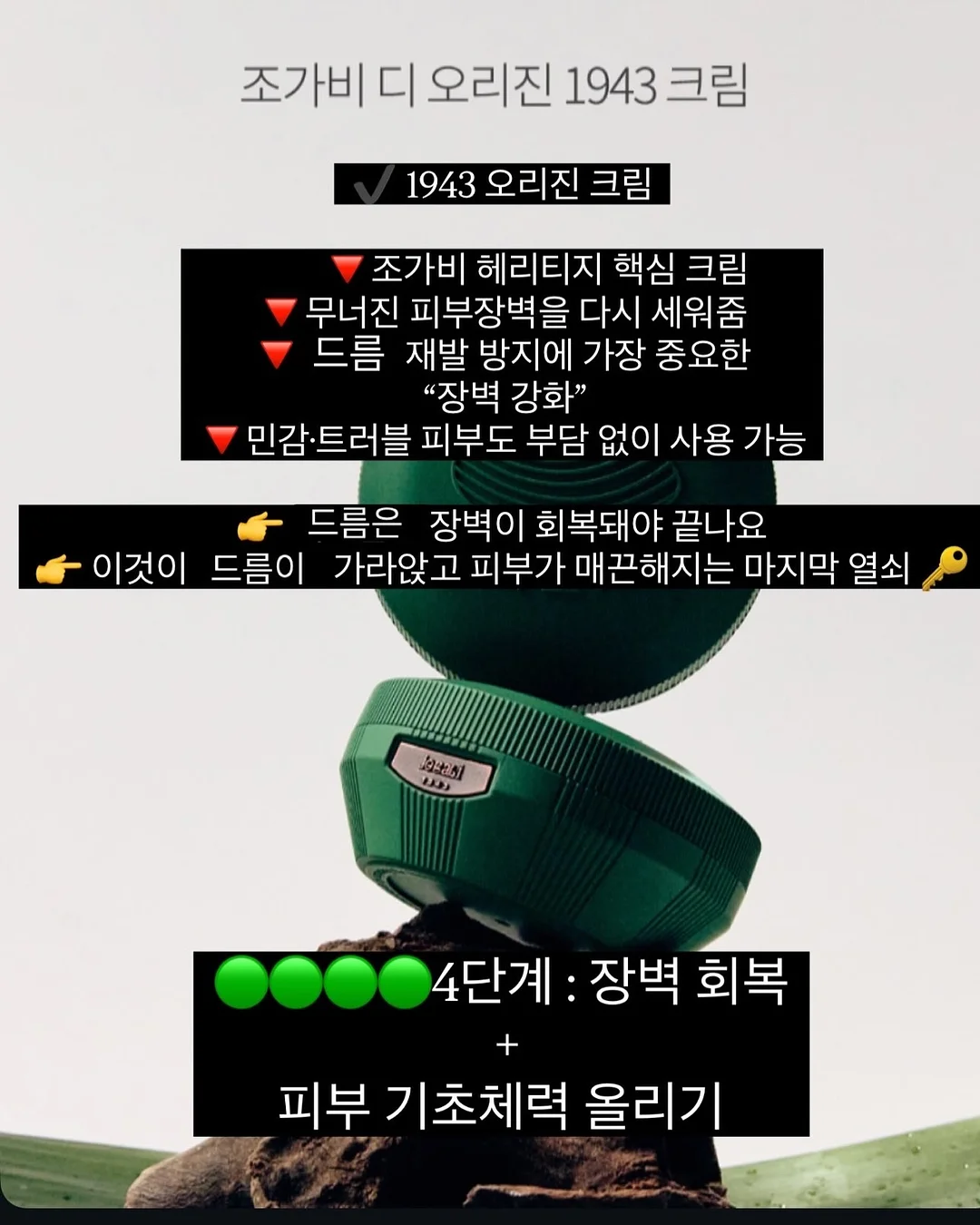 밀감 6