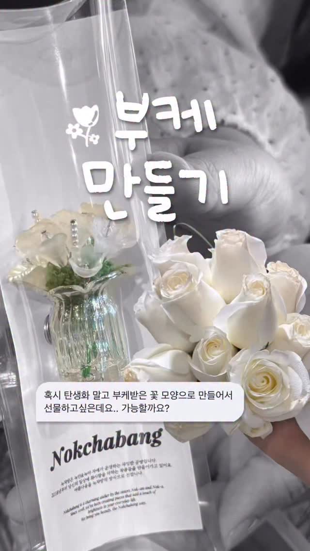 코이 원피스