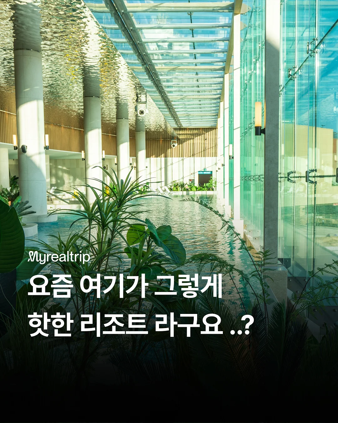 다미뇽 곰돌이 핸들파우치 1
