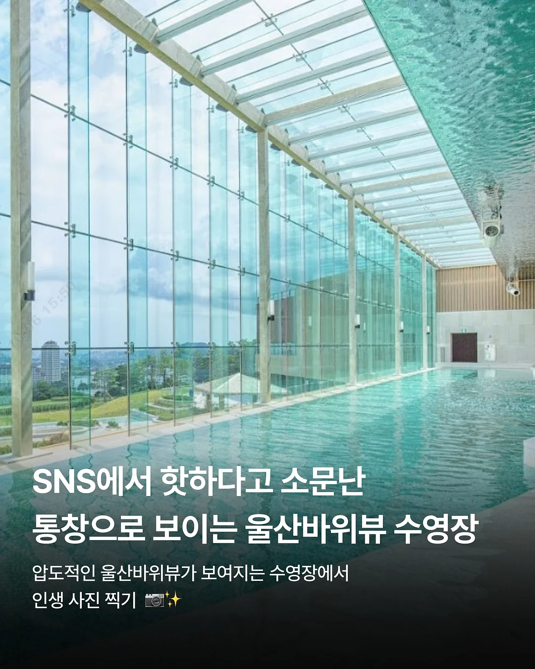 다미뇽 곰돌이 핸들파우치 2