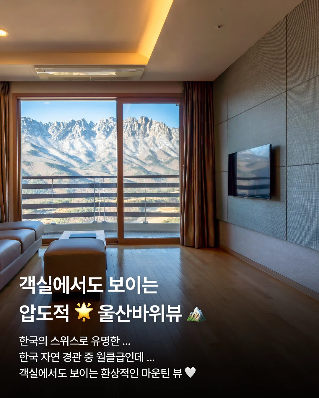 다미뇽 곰돌이 핸들파우치 6